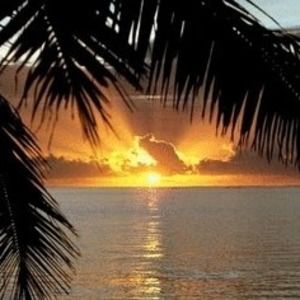 Meet your Posher, Margie